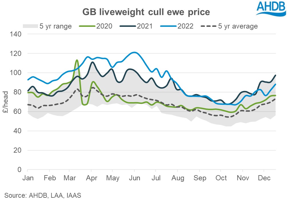 Graph of cull ewe prices
